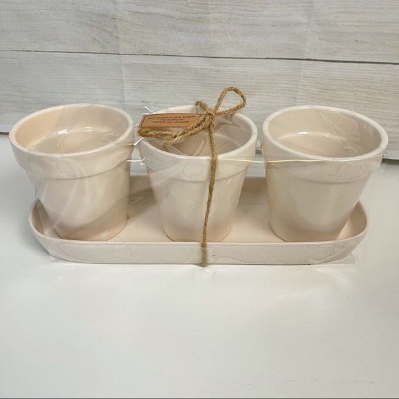 Rae Dunn Basil Oregano Sage Flower Pot Set - Picture 4 of 10